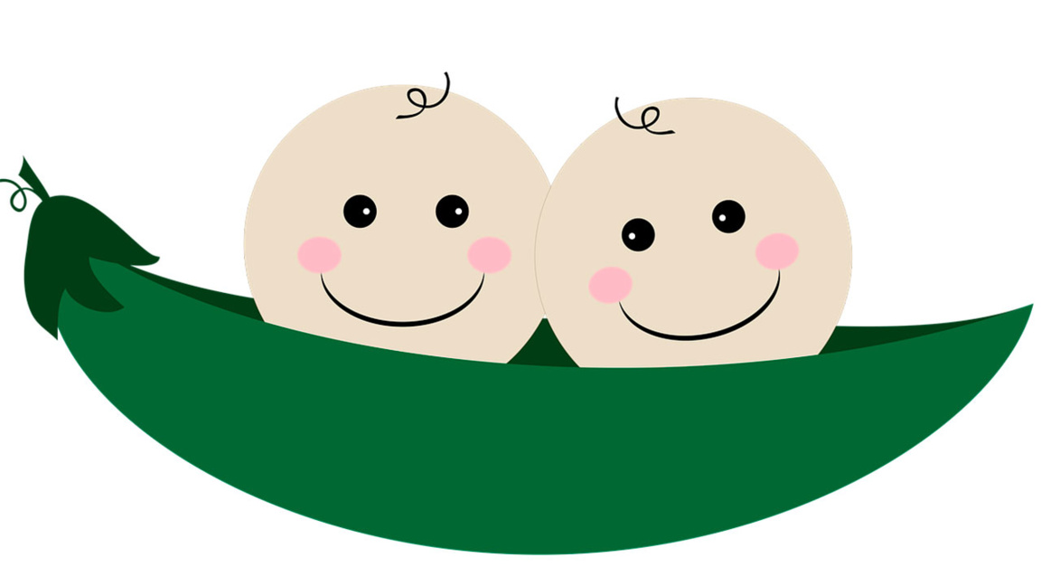 Доц. Мая Влахова: В голямата картина на ...