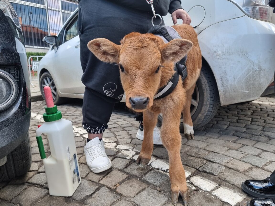 Представители на земеделски организации се събраха на протест пред Министерство на земеделието, 5 февруари 2024 г.