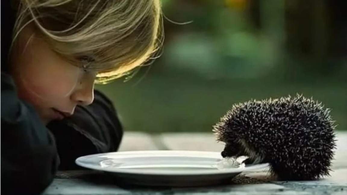 За децата, които инвестират време в грижа за животните