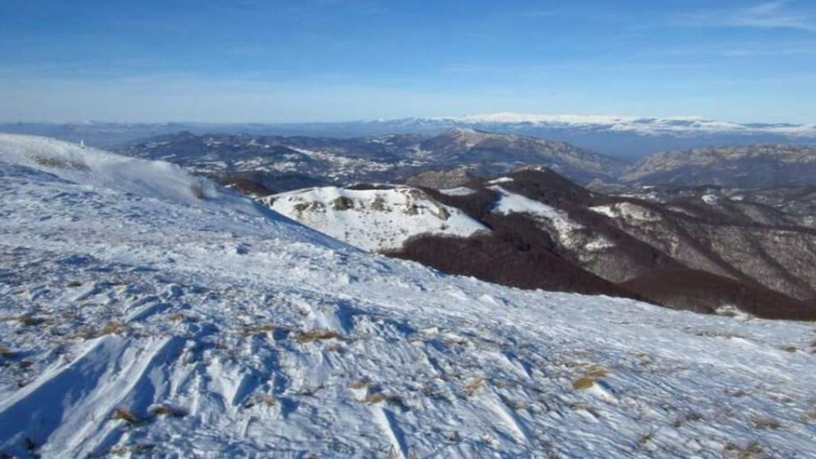 „Посоките на деня“ с Биляна Славчева